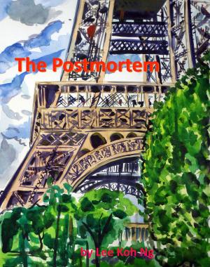 bigCover of the book The Postmortem by 