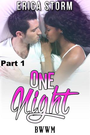 Cover of the book One Night (Part 1) by Erica Storm