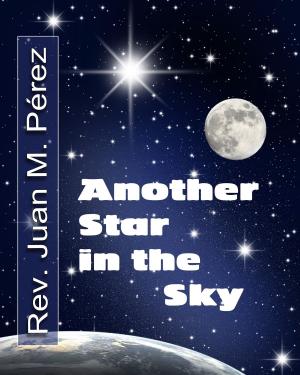 bigCover of the book Another Star in the Sky by 
