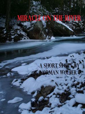 Cover of the book Miracle On the River by D.S. Northrop
