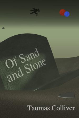 Cover of the book Of Sand and Stone by Tami Veldura