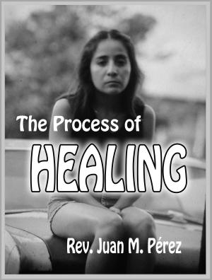 bigCover of the book The Process of Healing by 