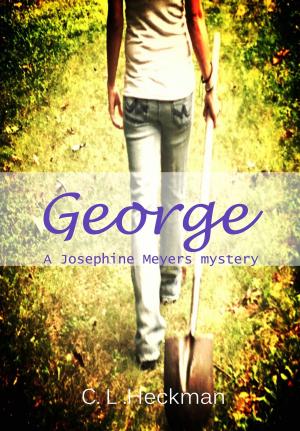 Cover of the book George: A Josephine Meyers Mystery by Andy Lang