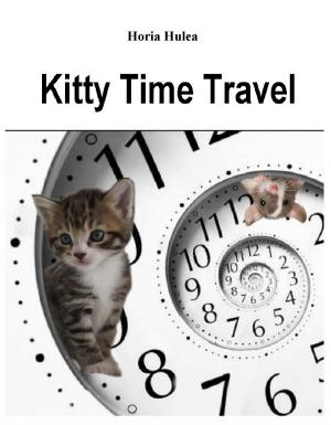 Cover of Kitty Time Travel