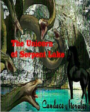 Cover of the book The Unicorn of Serpent Lake by 羅伯特．喬丹 Robert Jordan, 布蘭登．山德森 Brandon Sanderson
