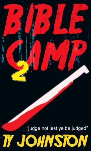 bigCover of the book Bible Camp 2 by 