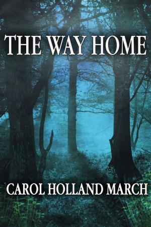 Cover of the book The Way Home by Ducere Publishing