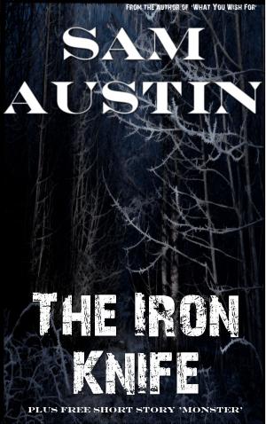 bigCover of the book The Iron Knife by 