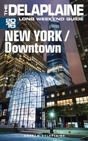 Cover of New York / Downtown: The Delaplaine 2016 Long Weekend Guide