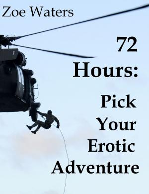 Cover of the book 72 Hours: Pick Your Erotic Adventure by Zoe Waters