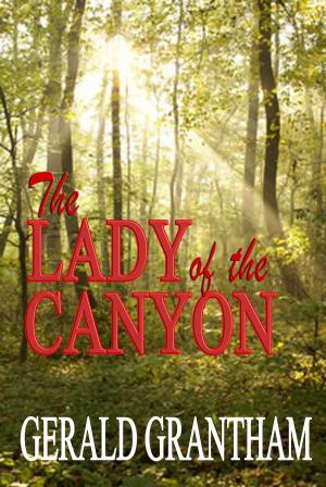 Cover of the book Lady of the Canyon by Sheldon Friedman