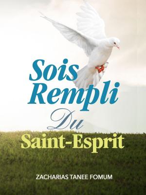 Book cover of Sois Rempli du Saint-Esprit