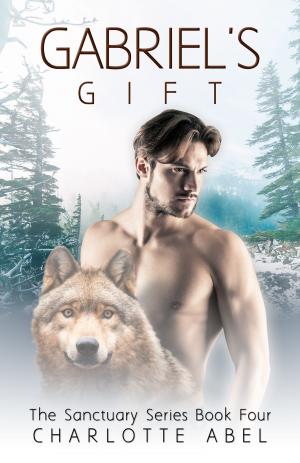 Book cover of Gabriel's Gift (Sanctuary Series Book 4)