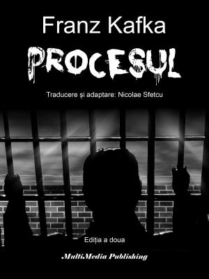 Cover of the book Procesul by Nicolae Sfetcu