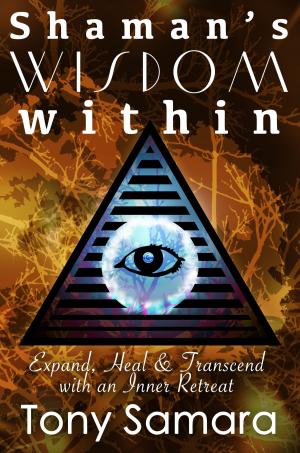 Book cover of Shaman's Wisdom Within: Expand, Heal and Transcend with an Inner Retreat