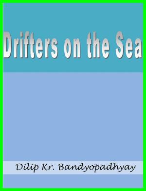 Cover of the book Drifters on the Sea by Jane V. Blanchard