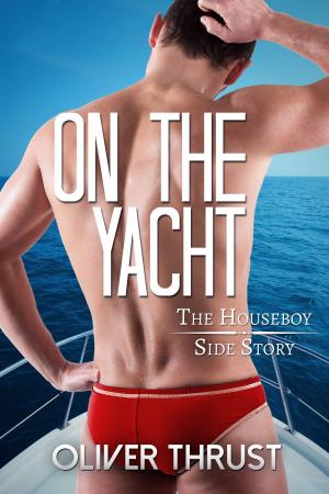 Book cover of On The Yacht