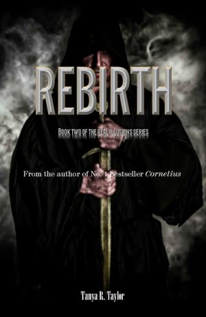 Book cover of Real Illusions II: Rebirth