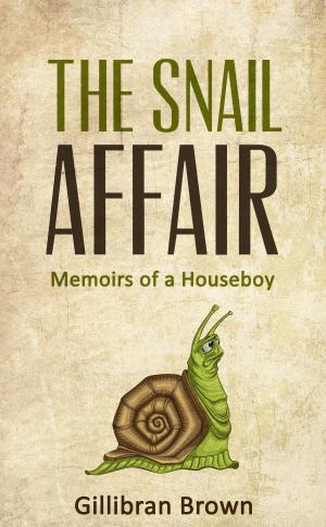 Book cover of The Snail Affair:Memoirs of a Houseboy
