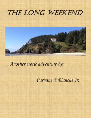 Book cover of The Long Weekend