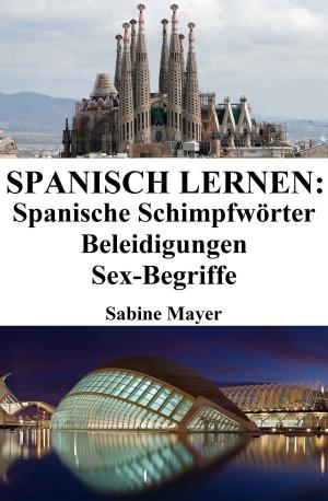Book cover of Spanisch lernen: spanische Schimpfwörter ‒ Beleidigungen ‒ Sex-Begriffe