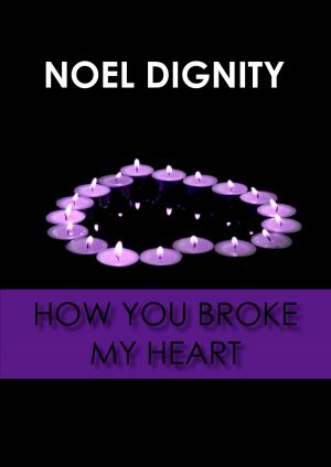 Book cover of How You Broke My Heart
