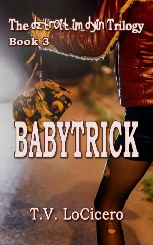 Book cover of Babytrick
