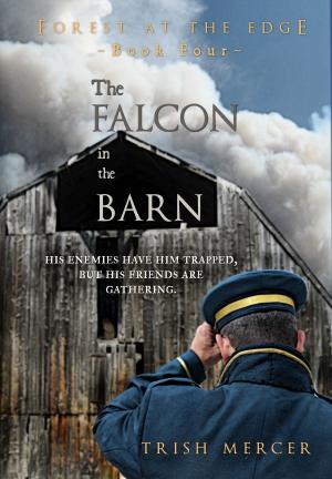 Book cover of The Falcon in the Barn (Book 4 Forest at the Edge series)