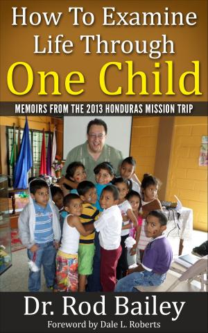 Cover of the book How to Examine Life Through One Child: Memoirs of the 2013 Honduras Mission Trip by Dale L. Roberts