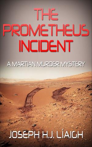 Book cover of The Prometheus Incident, A Martian Murder Mystery