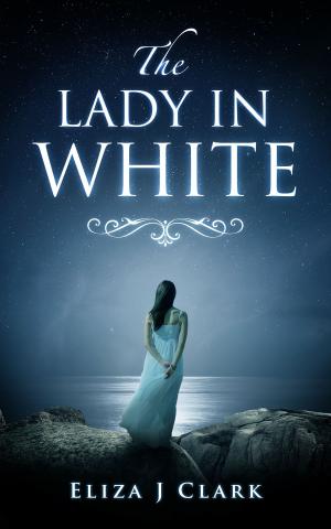 Cover of the book The Lady in White by Lisa Marbly-Warir