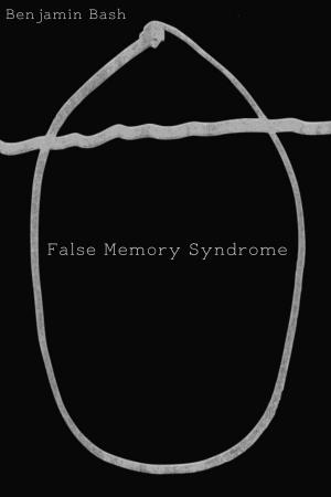 Cover of the book False Memory Syndrome by Teresa Wilde