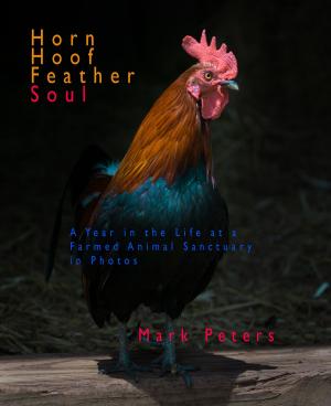 Cover of Horn Hoof Feather Soul: A Year in the Life at a Farmed Animal Sanctuary in Photos