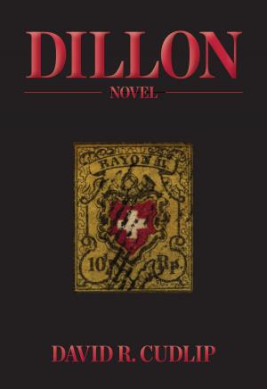 Book cover of Dillon