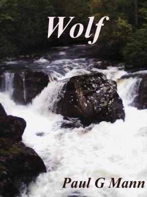 Cover of the book Wolf by Vita Tugwell