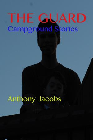 Book cover of The Guard: Campground Stories