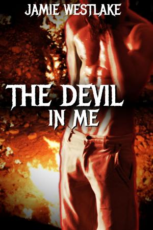 Cover of the book The Devil In Me by Leigh Ann Kopans