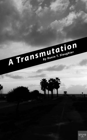 bigCover of the book A Transmutation by 