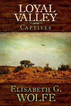 Cover of the book Loyal Valley: Captives by David Lavender, David  G. Lavender