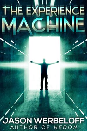 Book cover of The Experience Machine: A Metaphysical Horror