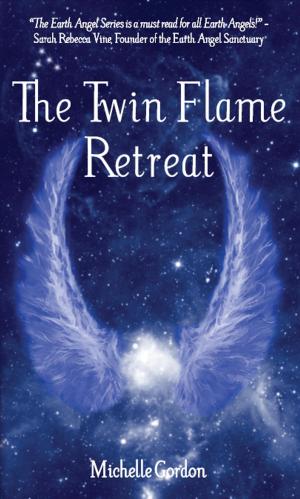 bigCover of the book The Twin Flame Retreat by 