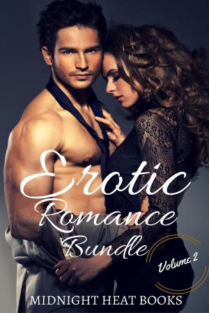 bigCover of the book Erotic Romance Bundle Volume 2 by 