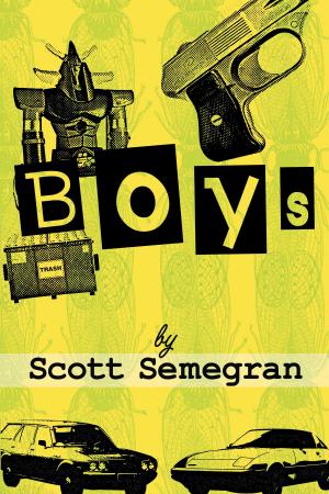 Cover of the book Boys: Stories About Bullies, Jobs, and Other Unpleasant Rites of Passage from Boyhood to Manhood by Nicholas May