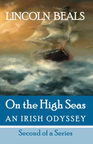 Cover of the book On the High Seas, an Irish Odyssey, Second in a Series by Jane K Allende