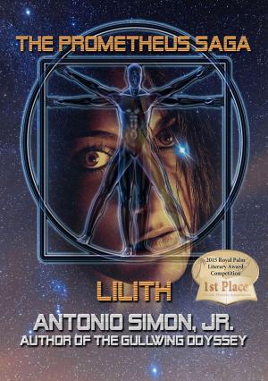 Cover of the book Lilith by Christopher Cobb