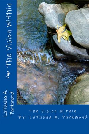 Cover of the book The Vision Within by Julie LeeSong Norman