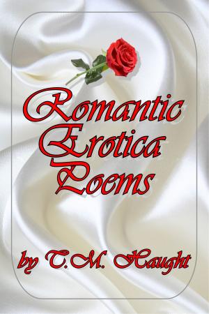 Cover of the book Romantic Erotica Poems by Sabrina Schauer