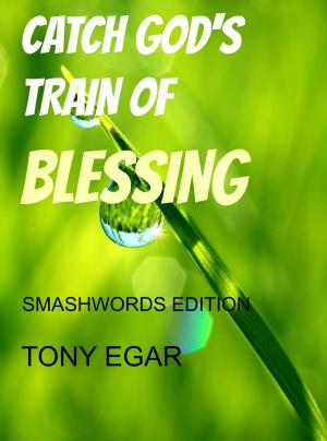 Cover of the book Catch God's Train of Blessing by Luciano Lotti