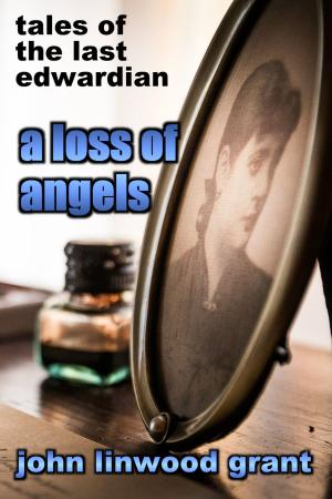 Book cover of A Loss of Angels