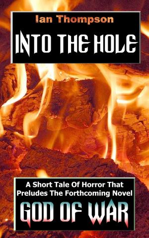 Cover of the book Into The Hole by Kate Trinity